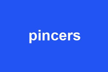 pincers