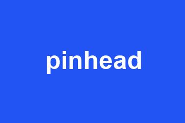 pinhead