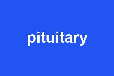 pituitary