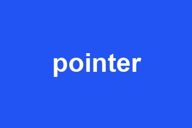 pointer