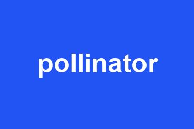 pollinator