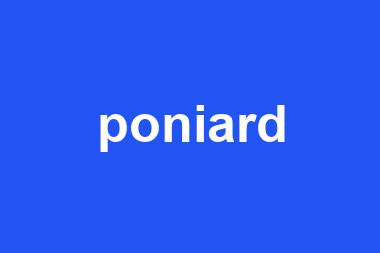 poniard