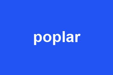 poplar