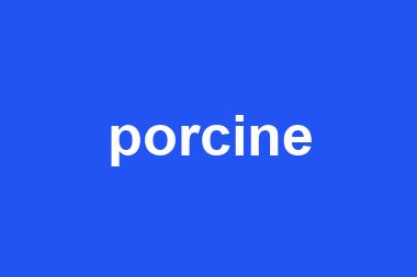 porcine