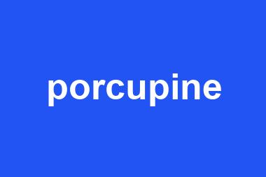 porcupine