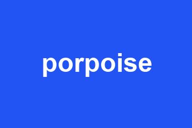 porpoise