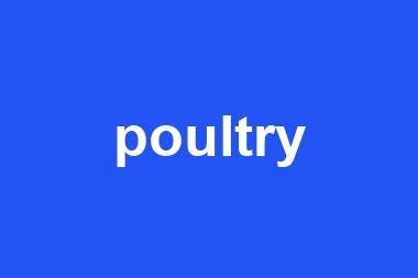 poultry