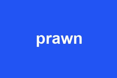 prawn