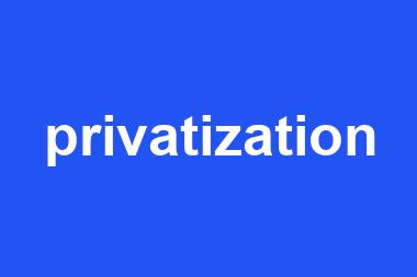 privatization