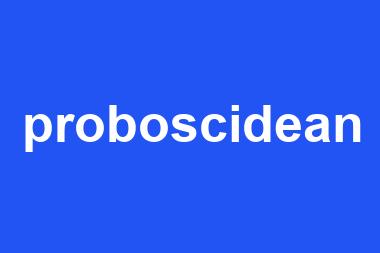 proboscidean