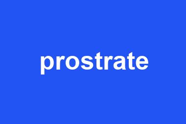 prostrate