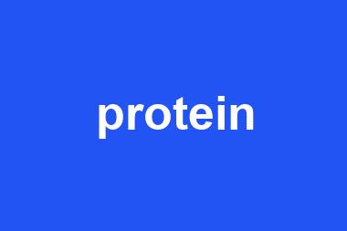 protein