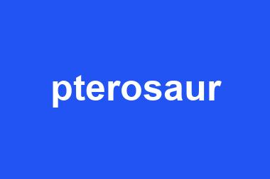 pterosaur