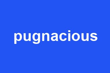 pugnacious