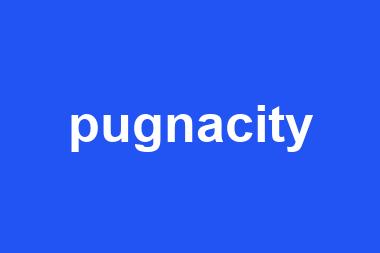 pugnacity