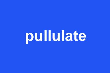 pullulate