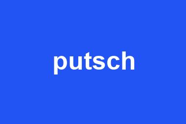 putsch