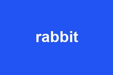 rabbit