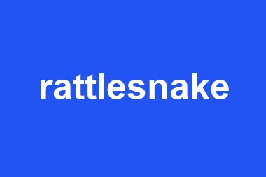 rattlesnake