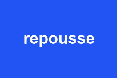 repousse