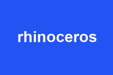 rhinoceros