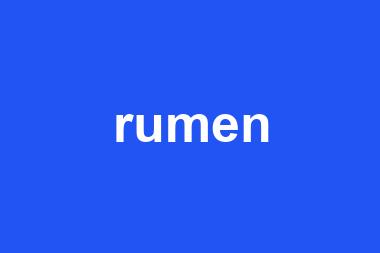 rumen