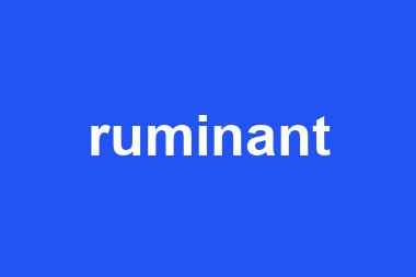 ruminant