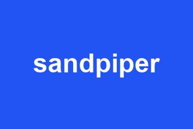 sandpiper