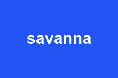 savanna