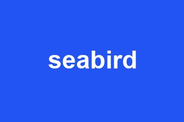 seabird