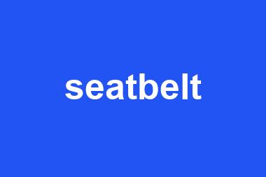 seatbelt