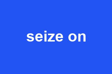 seize on