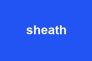 sheath