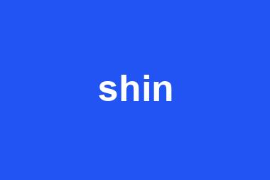 shin