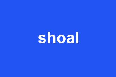 shoal