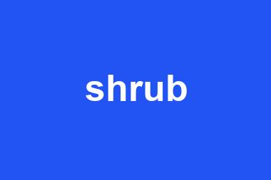 shrub