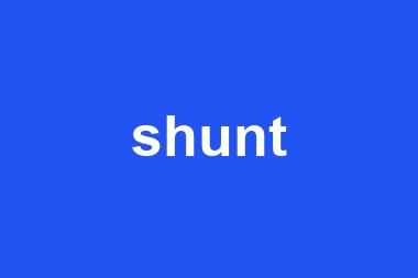 shunt