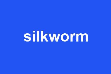 silkworm