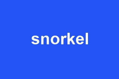 snorkel