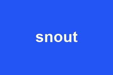 snout