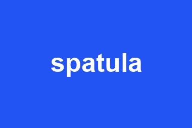 spatula