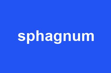 sphagnum