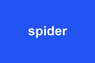 spider