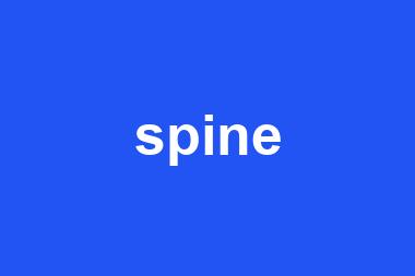 spine