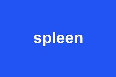 spleen