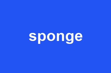 sponge