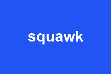 squawk