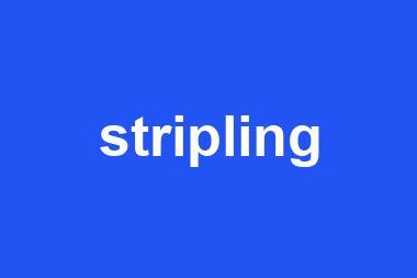 stripling