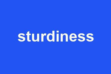 sturdiness