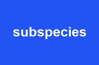 subspecies